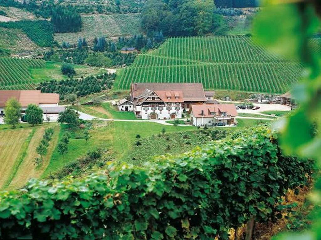 شقة Weingut Alfred Huber دورباخ المظهر الخارجي الصورة